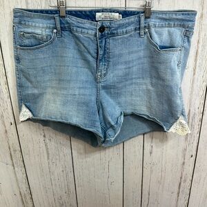 Torrid Denim Shorts